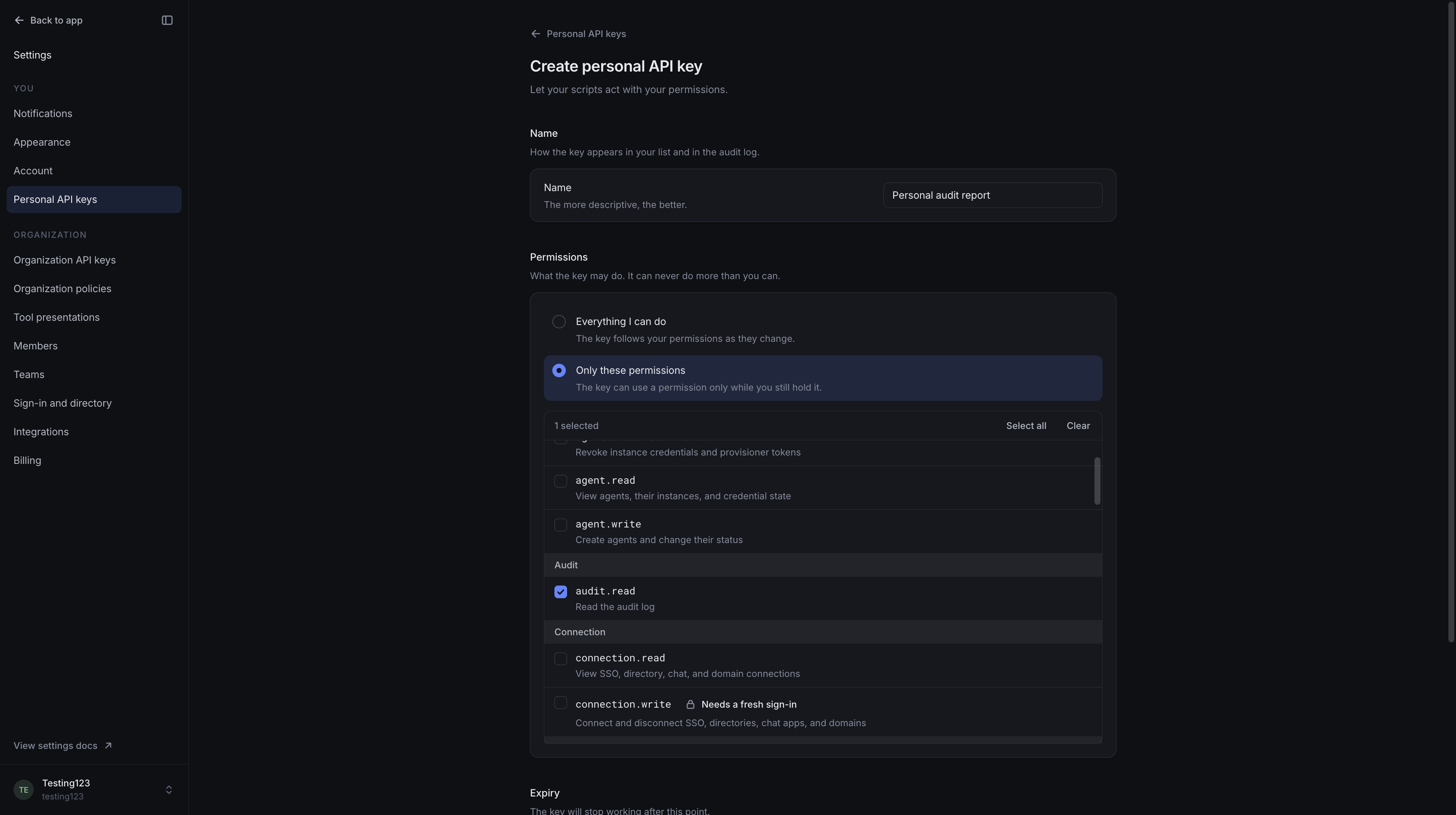 Unsaved personal API key form with Only these permissions selected and audit log reading checked